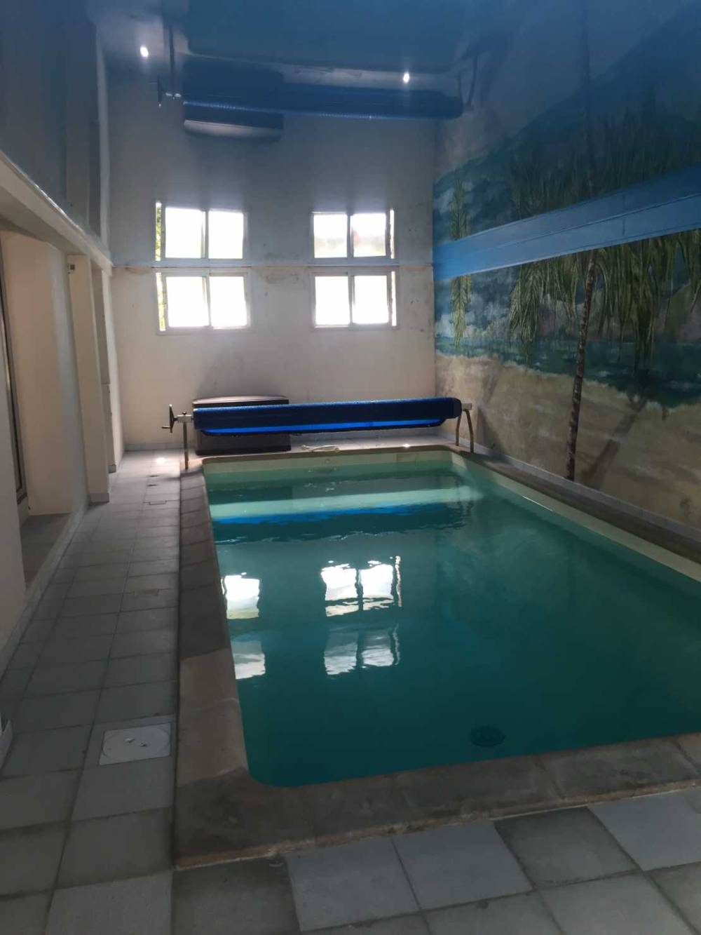 Toile tendu piscine palmier